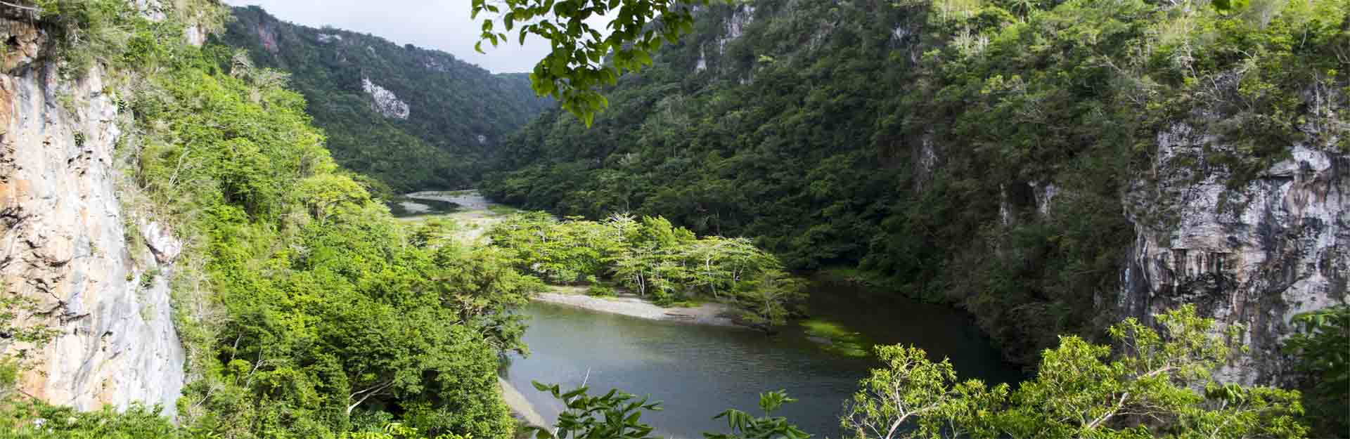Canyon de la rivière Yumurí, Baracoa, Guantanamo, Cuba.